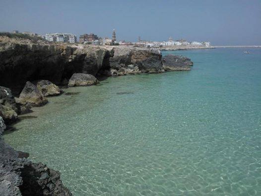 B&B Palazzo Antonelli Monopoli Dış mekan fotoğraf